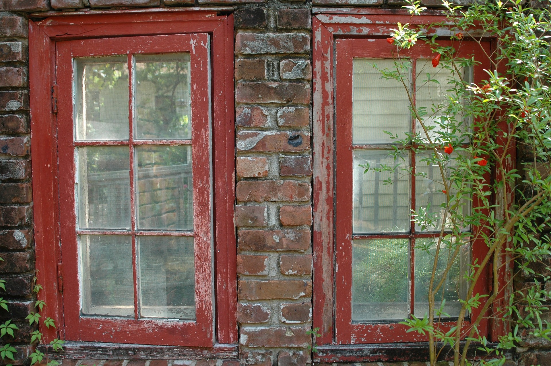 old windows glass free photo