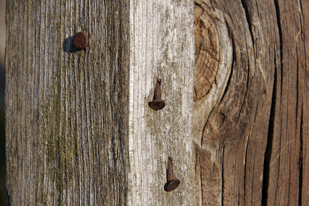 old wood rusty nails biga free photo