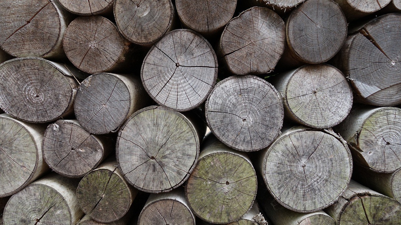 old wood stack annual rings free photo