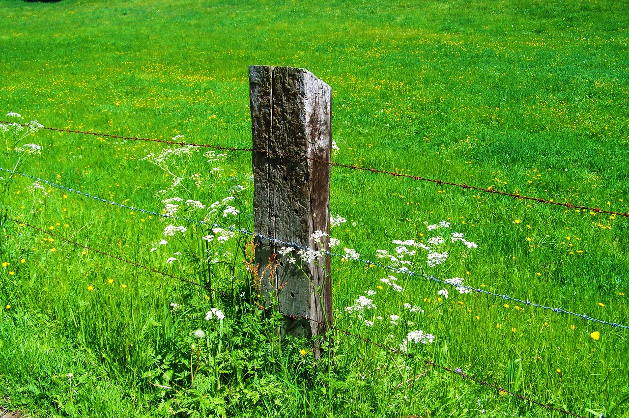 old wood columns rusted wire fence green pastures free photo
