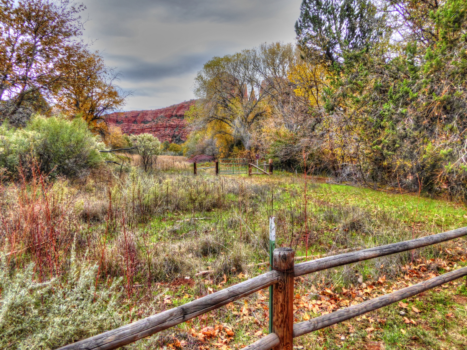 rural rustic seasonal free photo