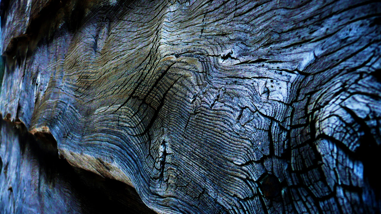 old wood wooden free photo