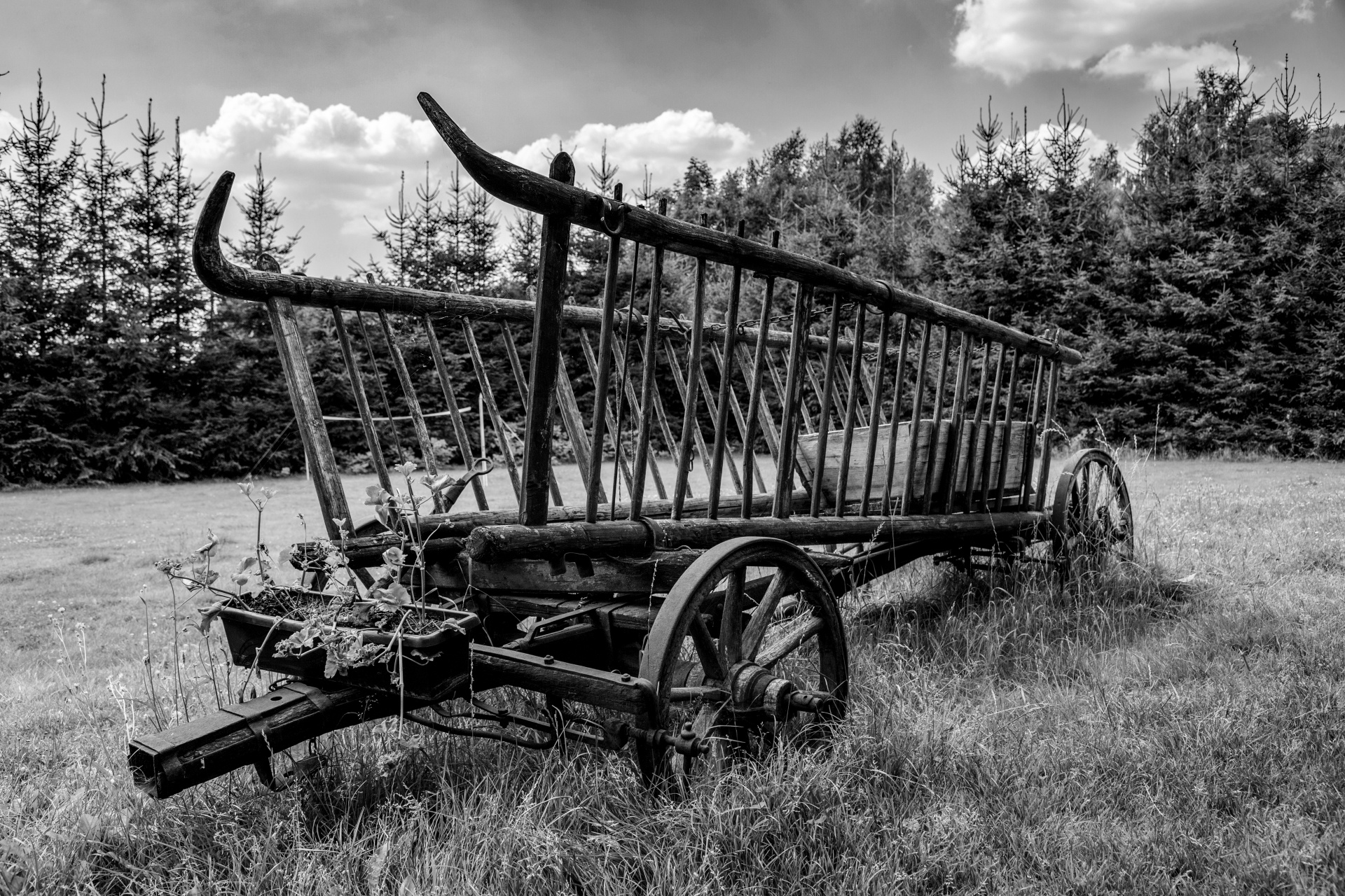cart wood wagon free photo