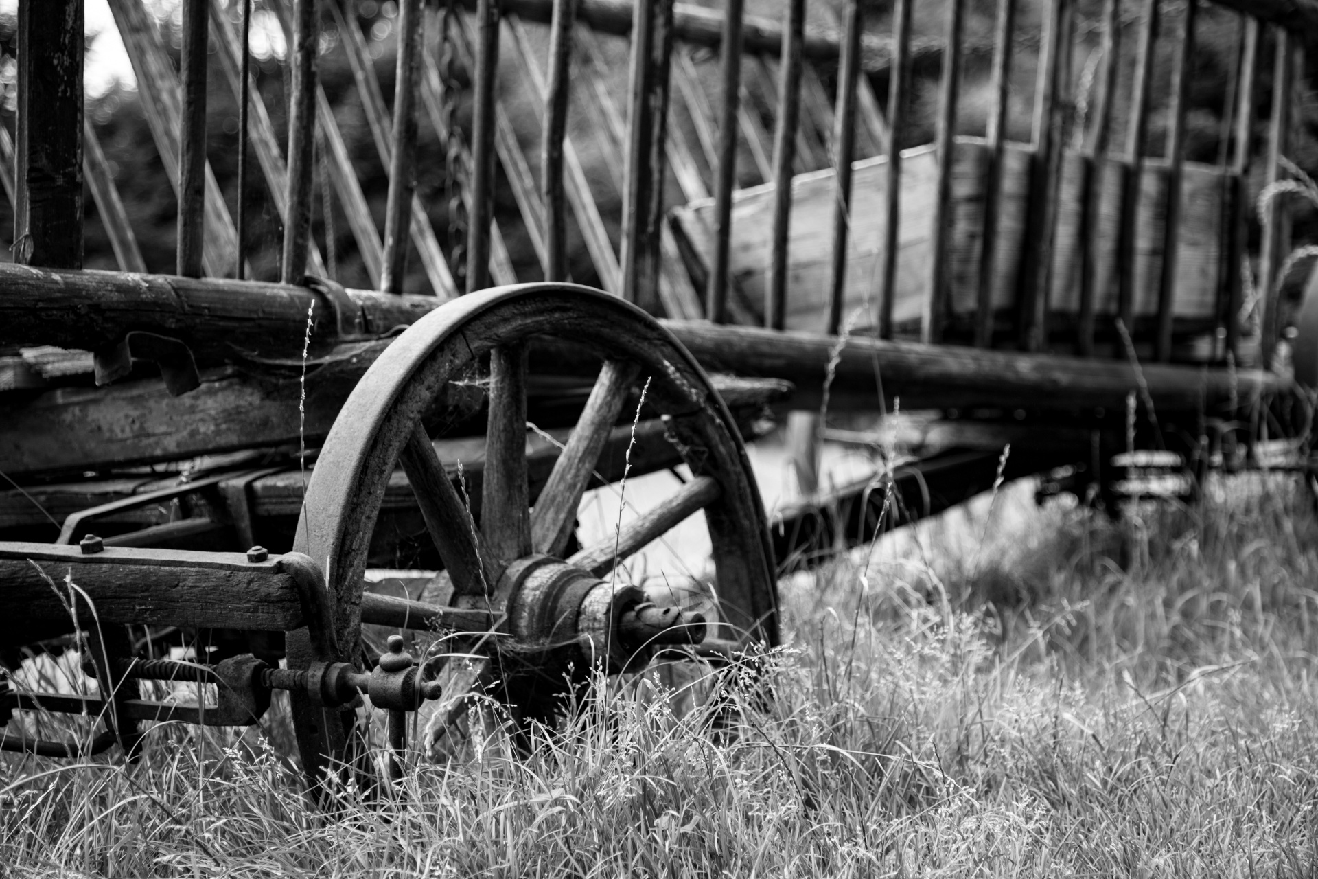 cart wood wagon free photo