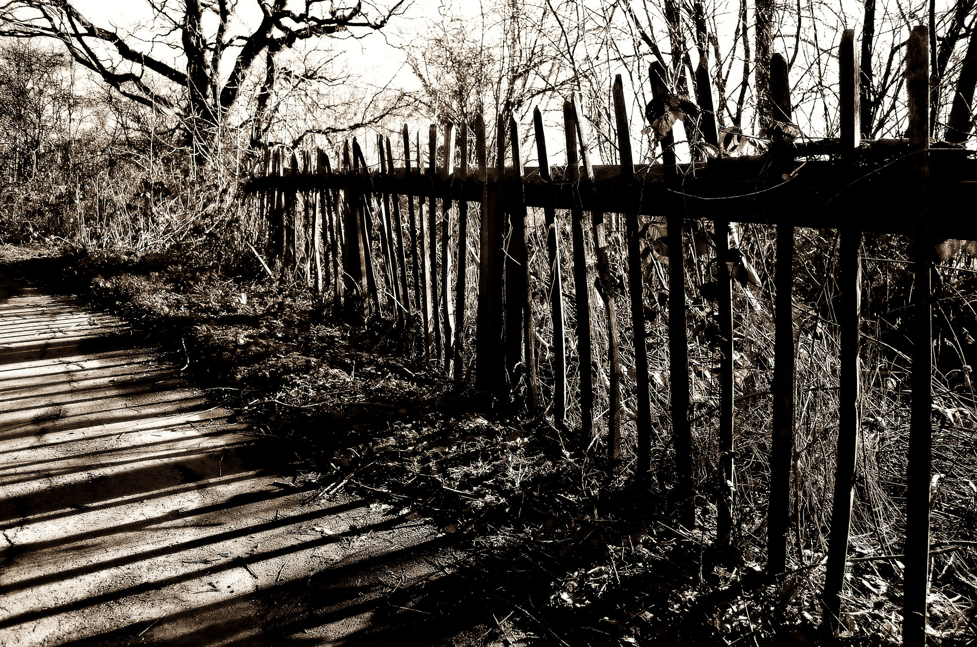 fence wood old free photo