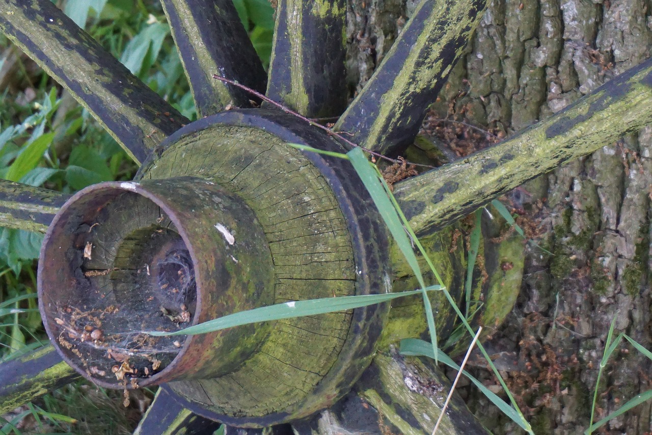 old wooden wheel agriculture nostalgia free photo