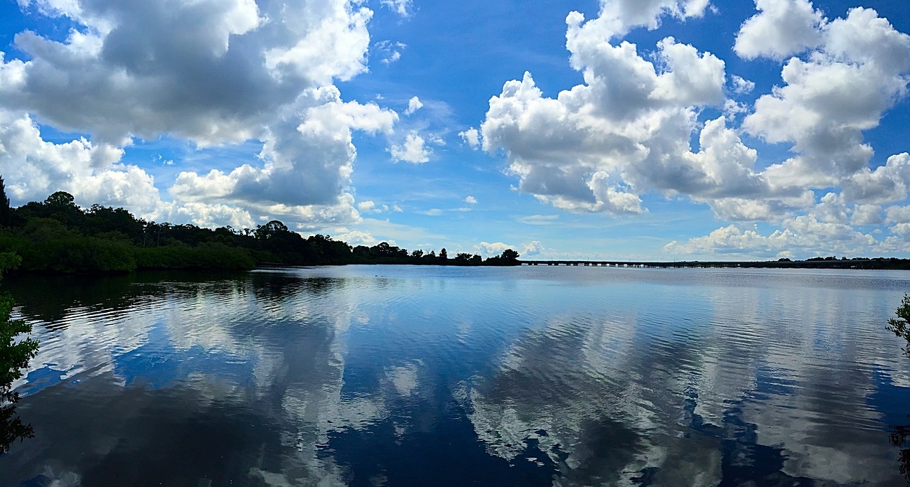 oldsmar florida water reflection free photo