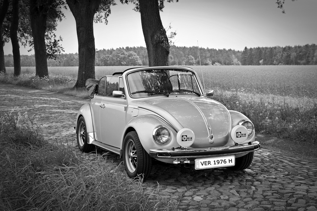 oldtimer vw vw beetle free photo