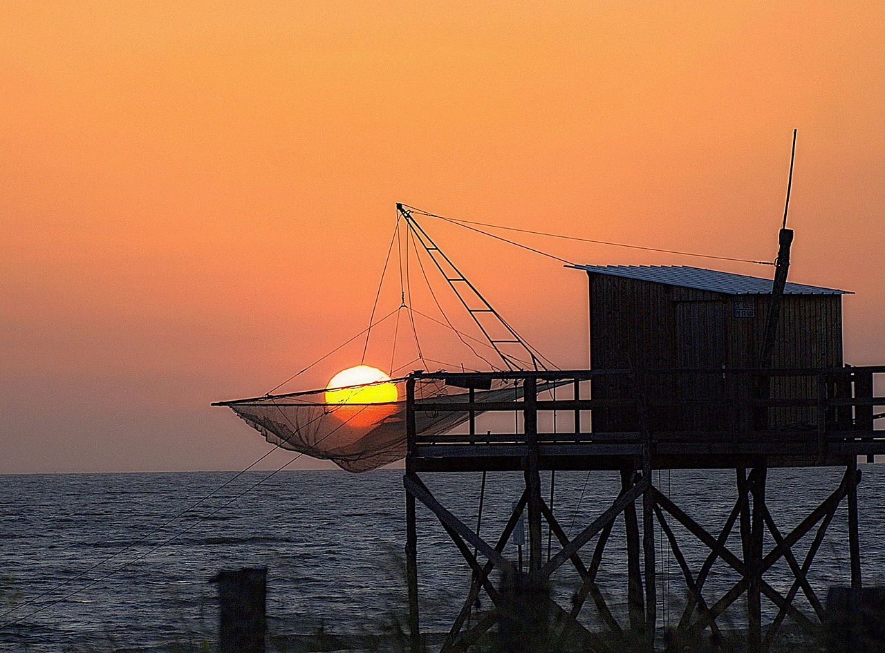 oléron sun fishing free photo