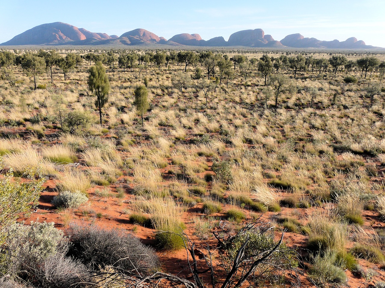 olgas australia early in the morning free photo