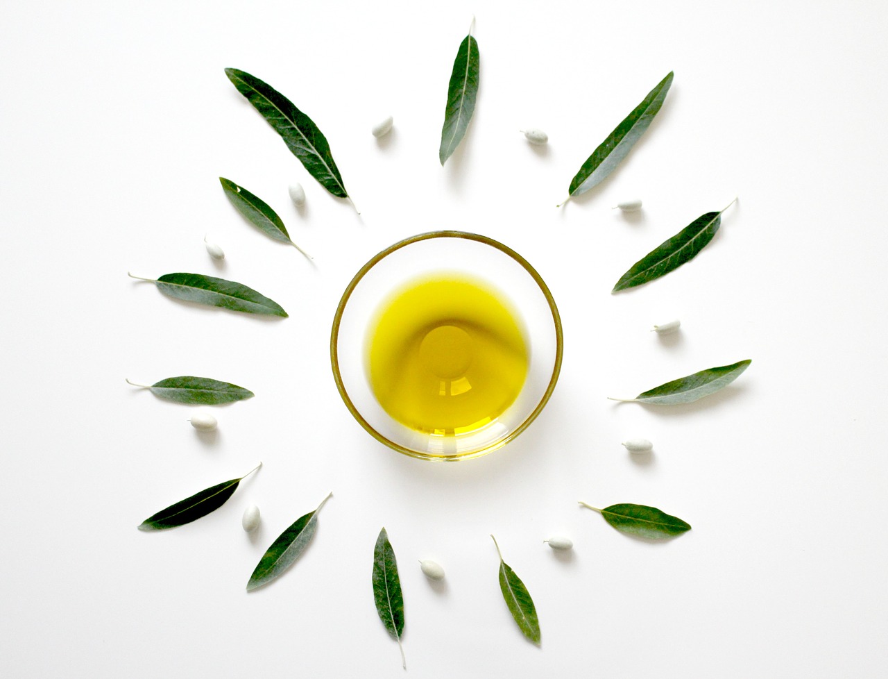 olive olive oil olive leaf free photo