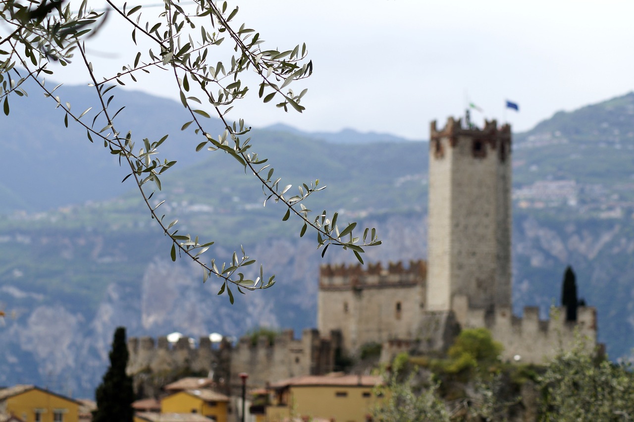 olive branch  italy  malcesine free photo