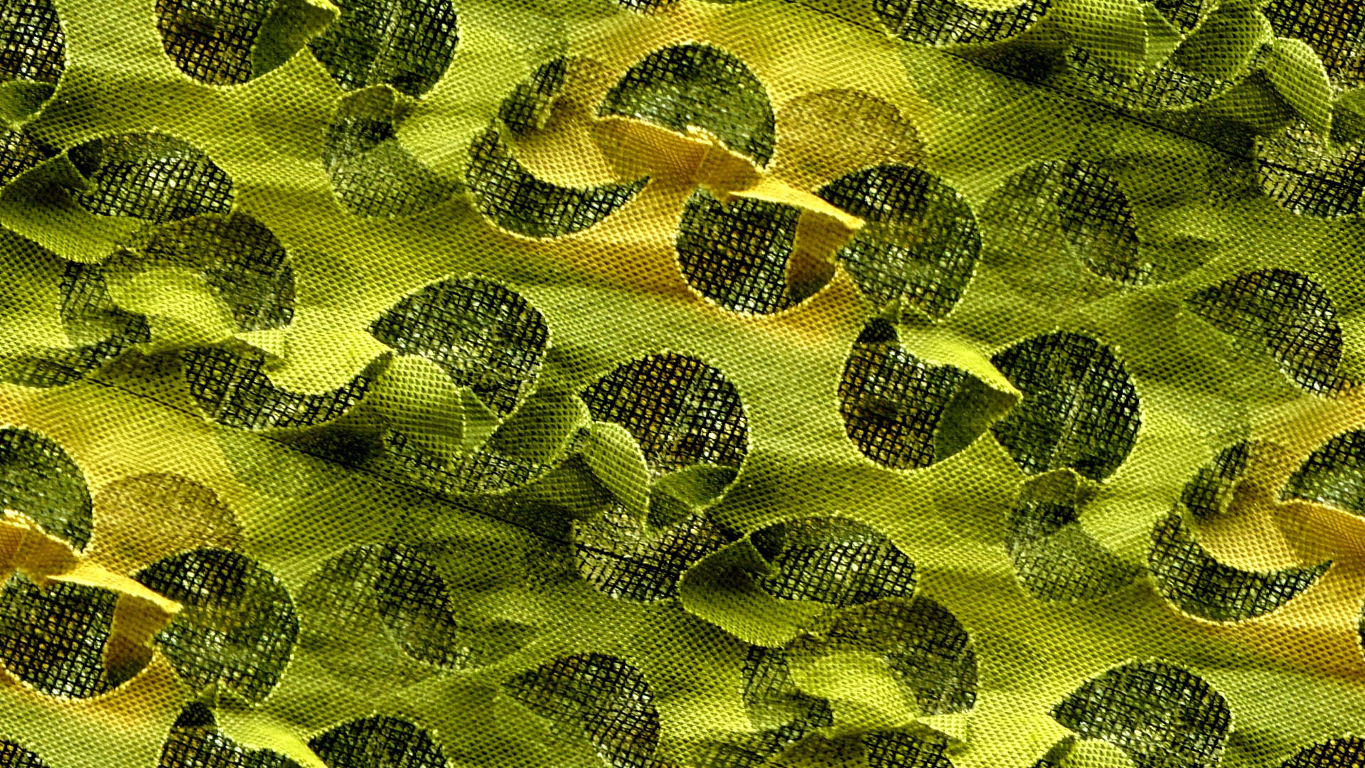 olive green background free photo