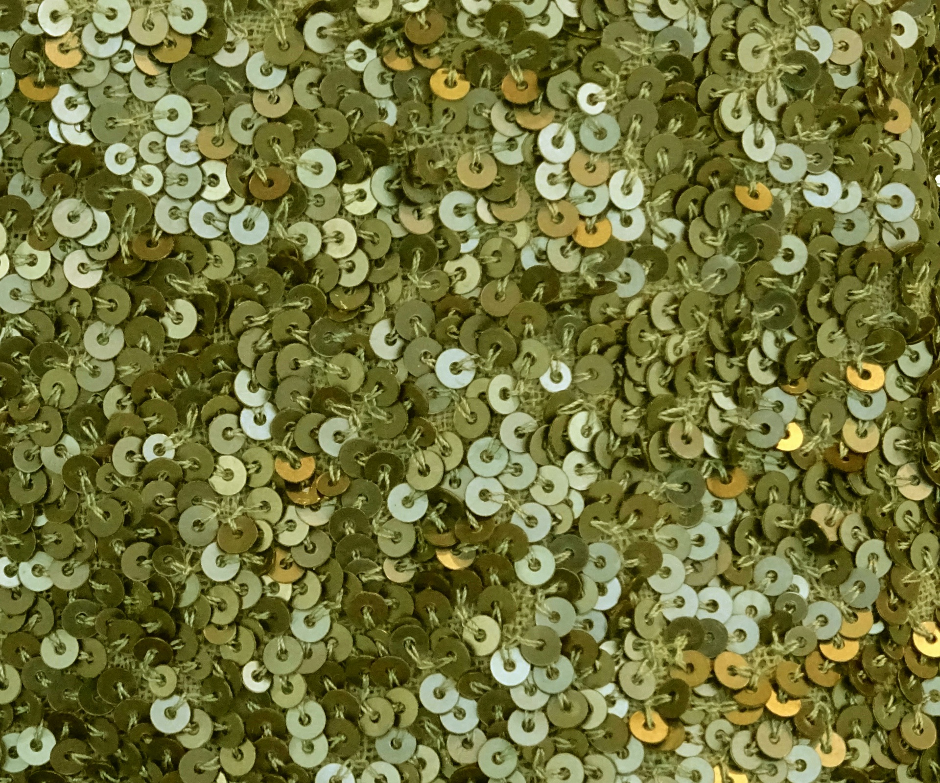 olive green sequin free photo