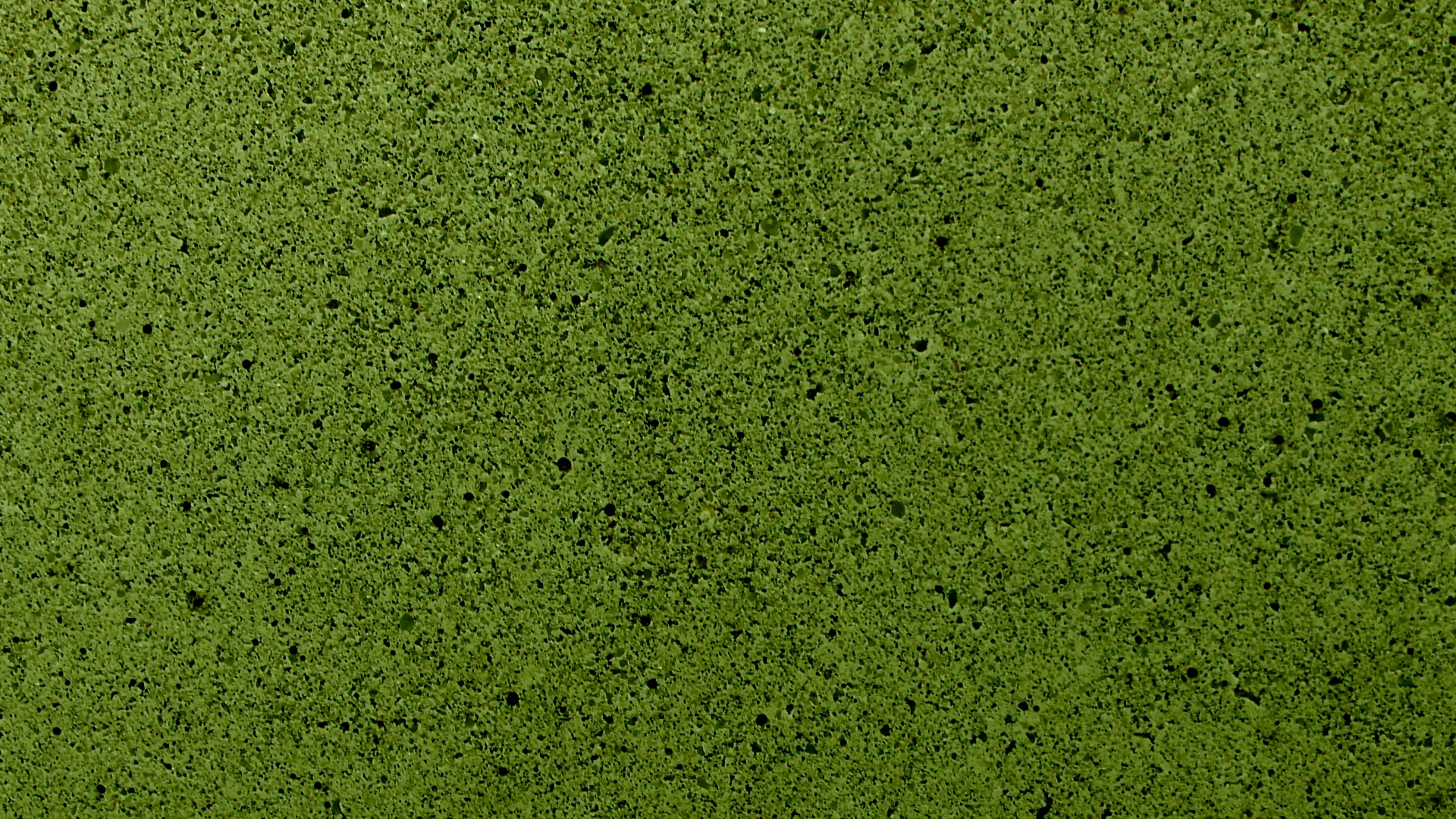 olive green background free photo