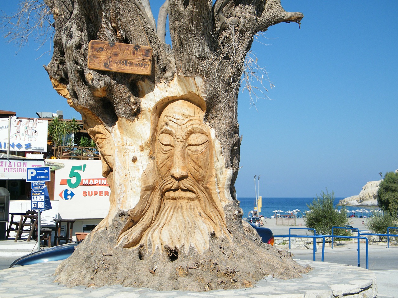 olive tree face crete free photo