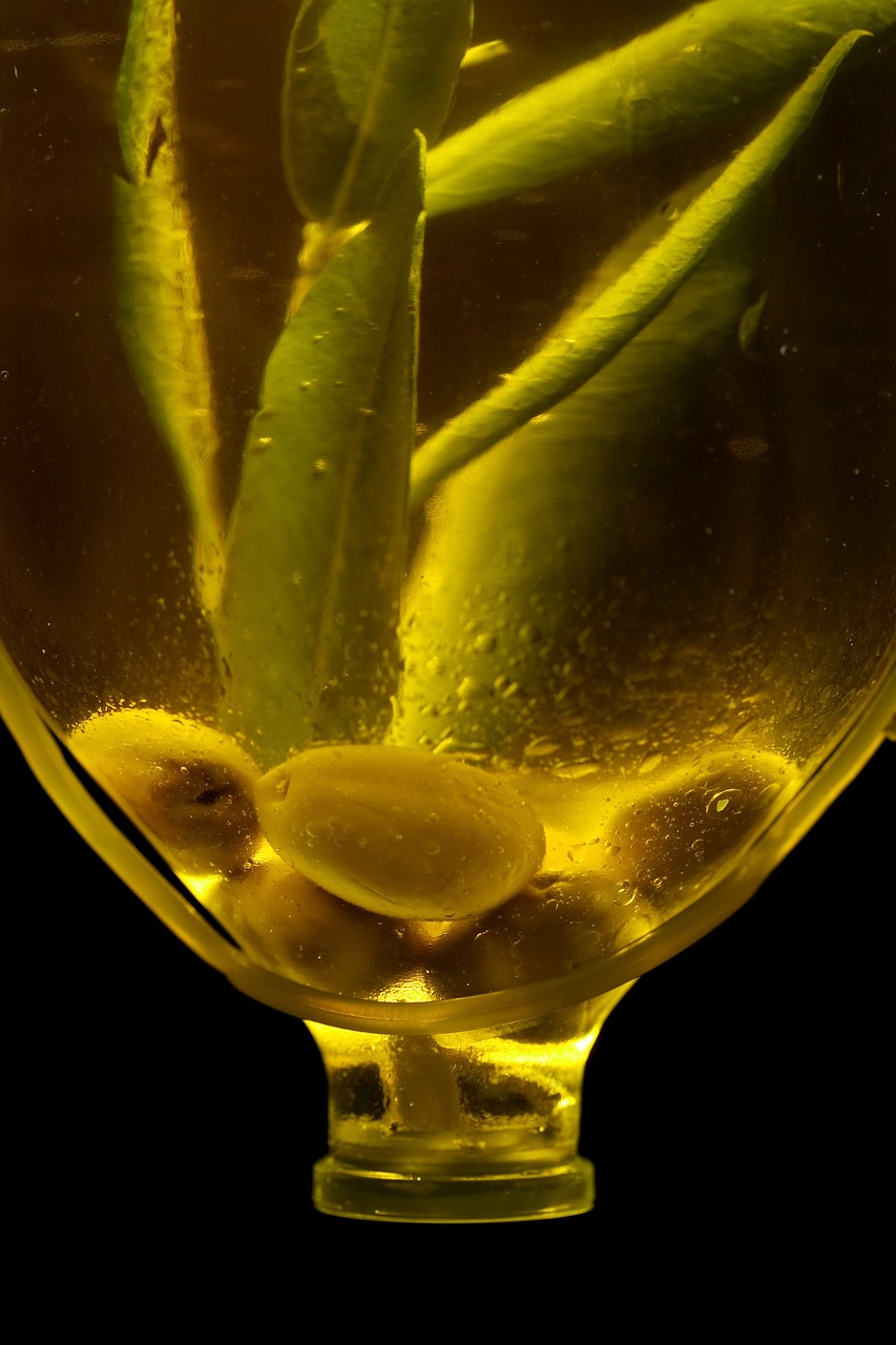 olives bottle olive oil free photo