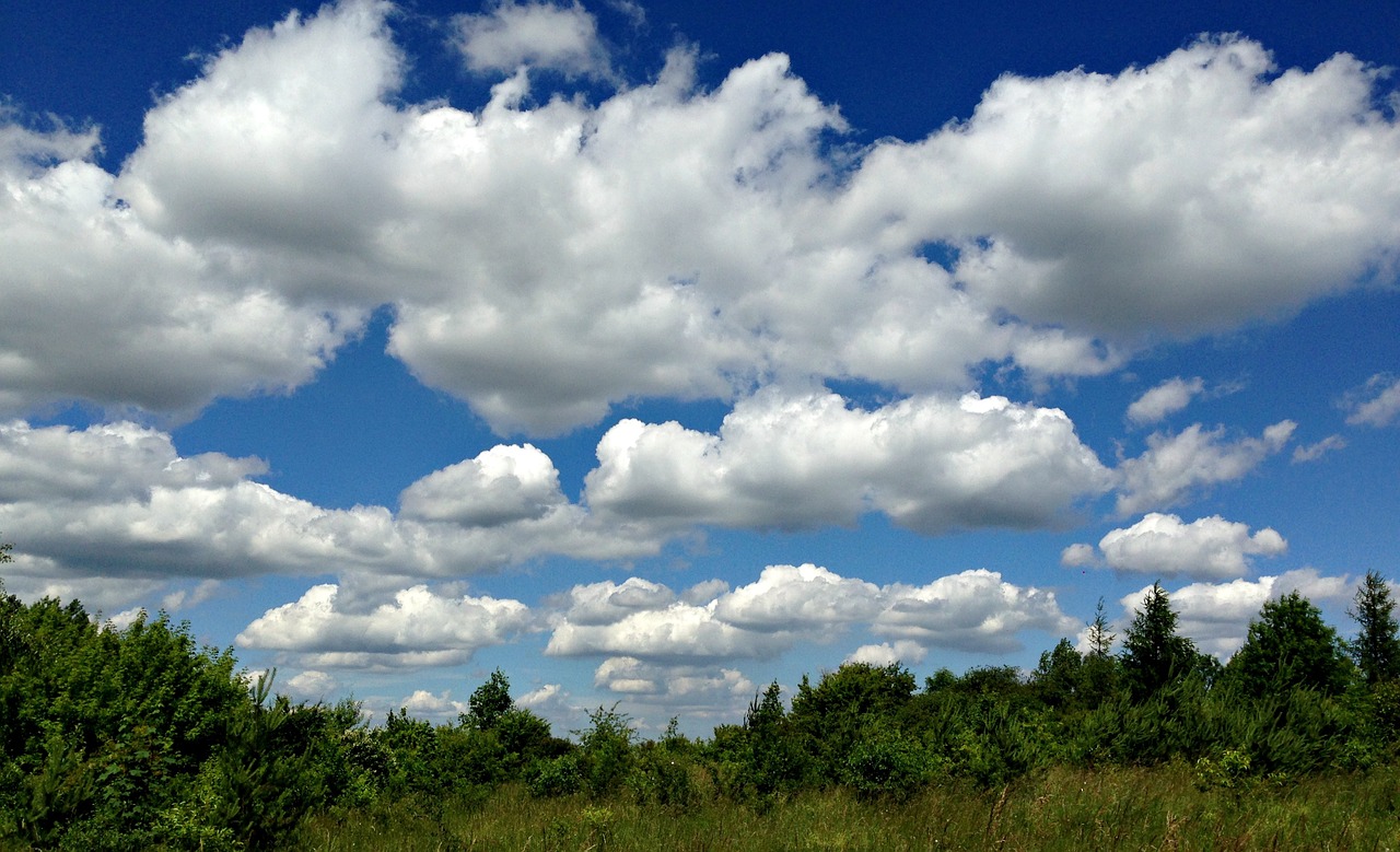 olkusz poland meadow free photo