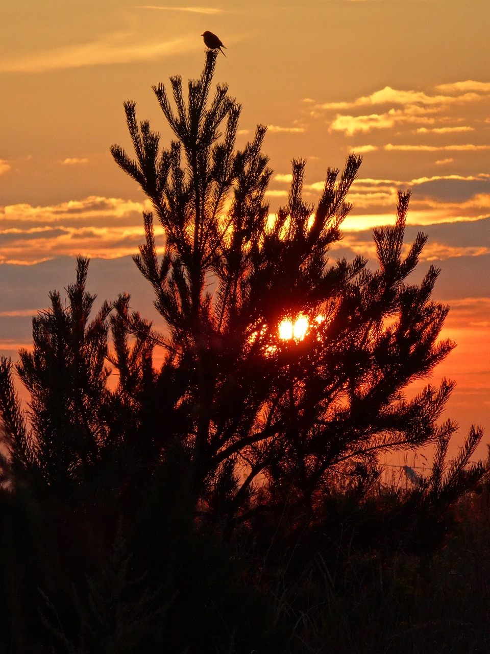 olkusz poland sunset free photo