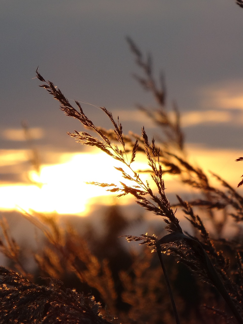 olkusz poland sunset free photo