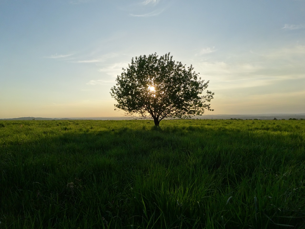 olkusz poland landscape free photo