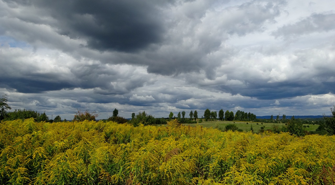 olkusz poland landscape free photo