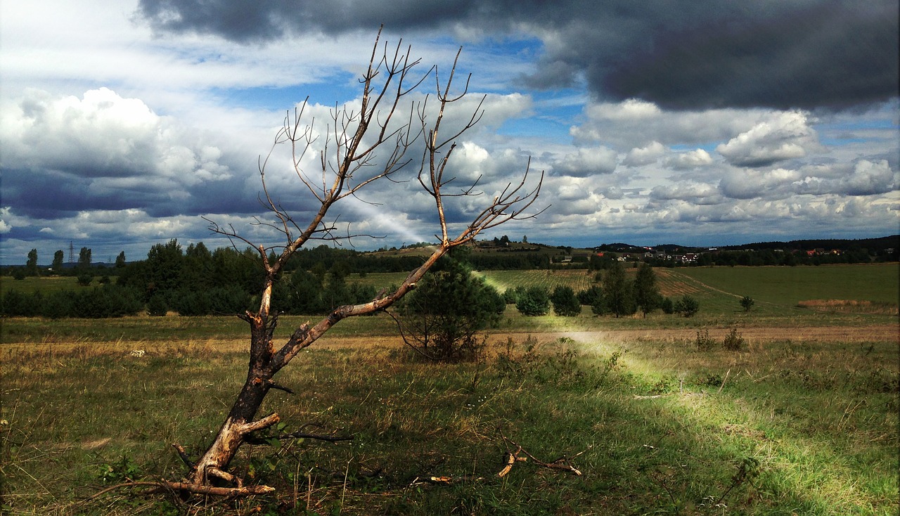 olkusz poland landscape free photo