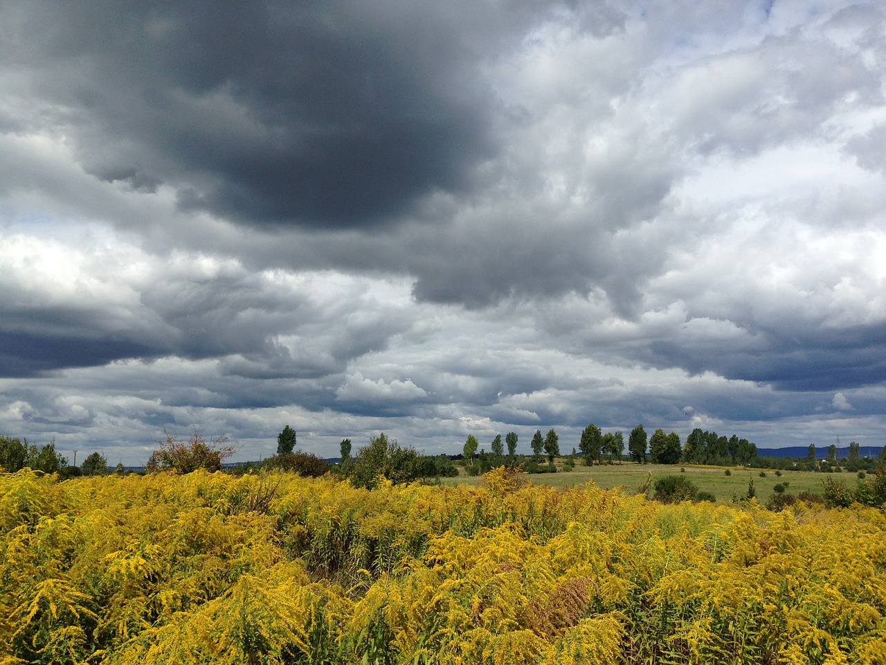 olkusz poland landscape free photo