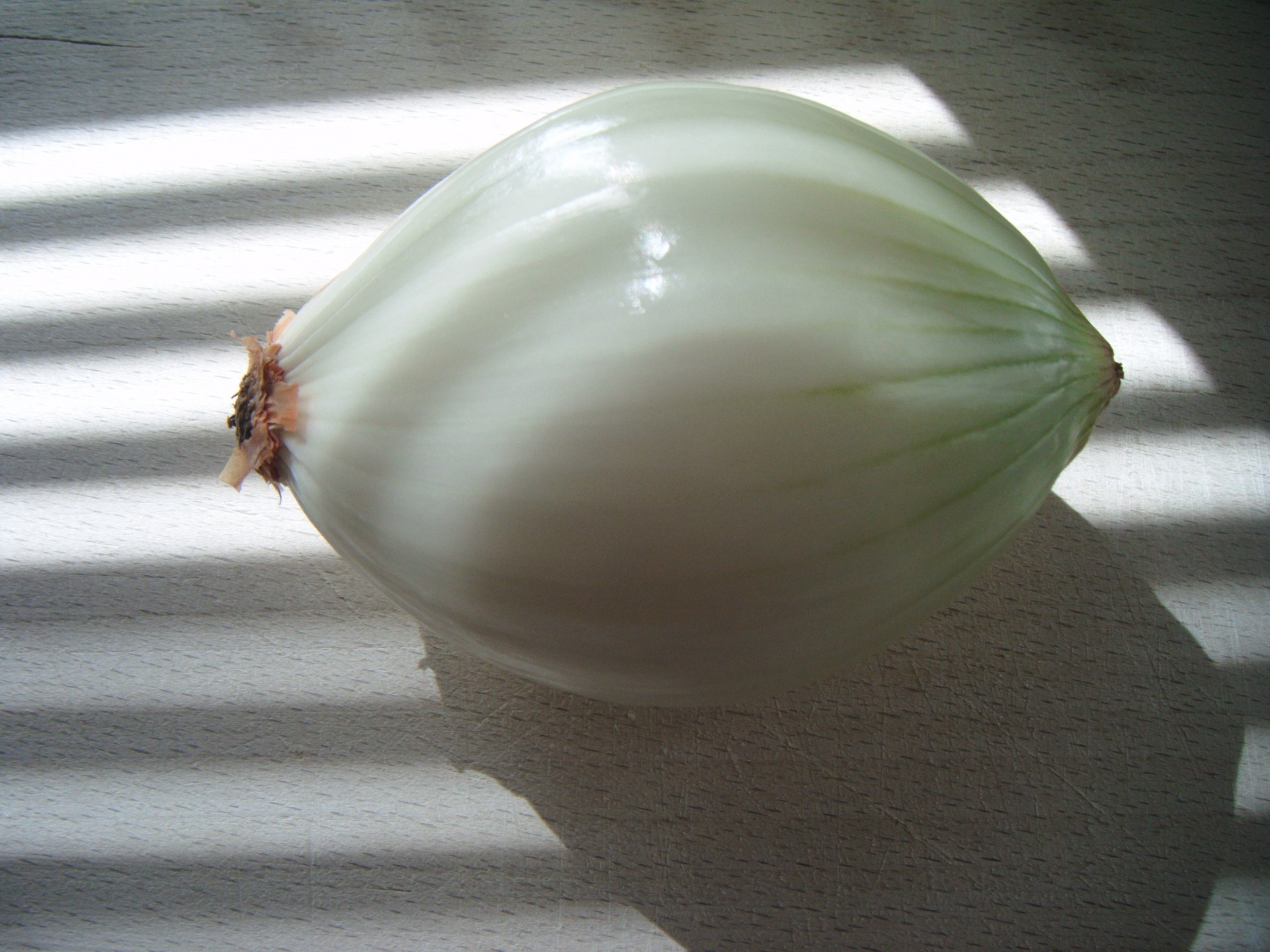 onions peel peeled free photo