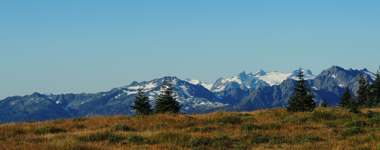 olympic national park washington mountains free photo