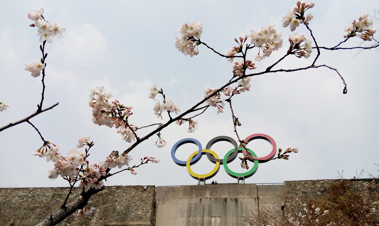 olympic rings spring cherry blossom free photo