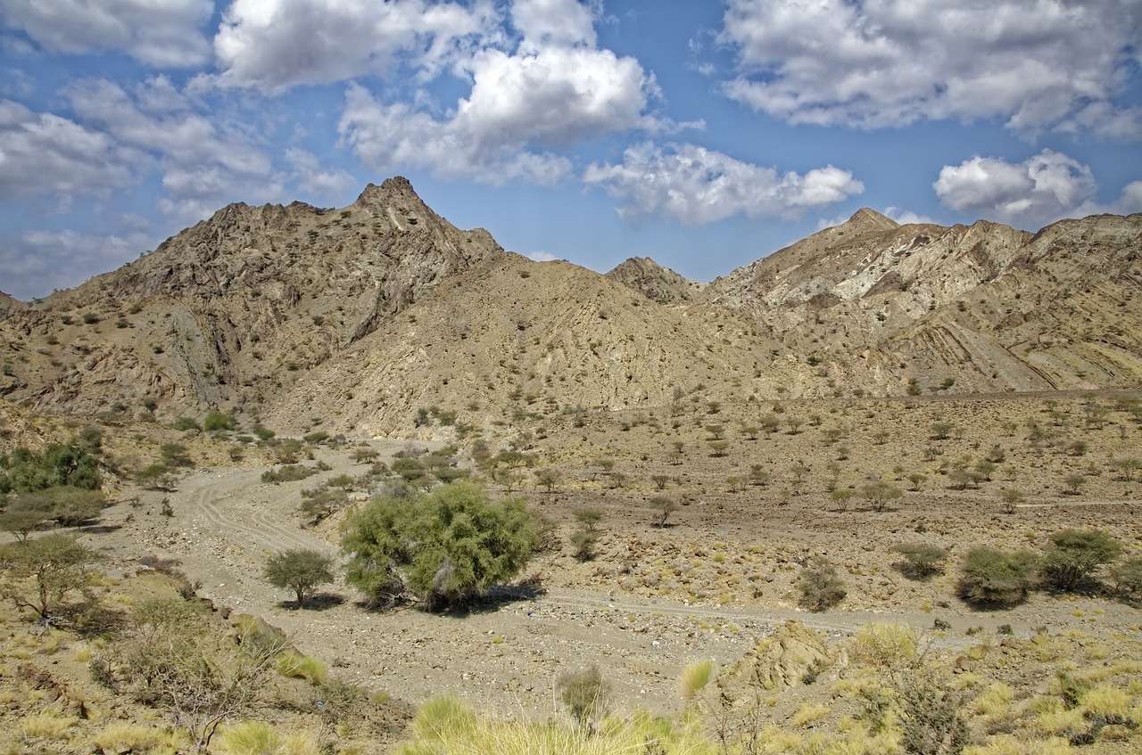 oman  region of al-batina  landscape free photo