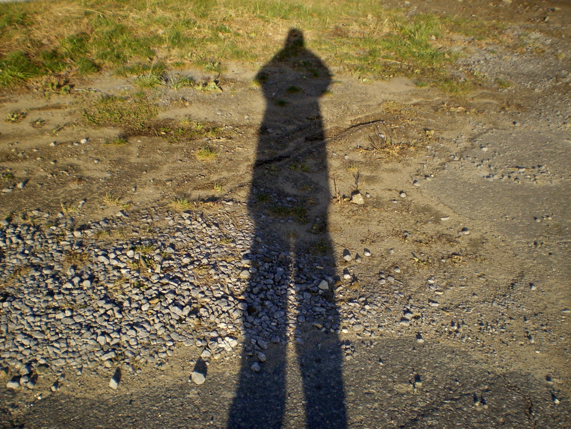 silhouette shadow human free photo