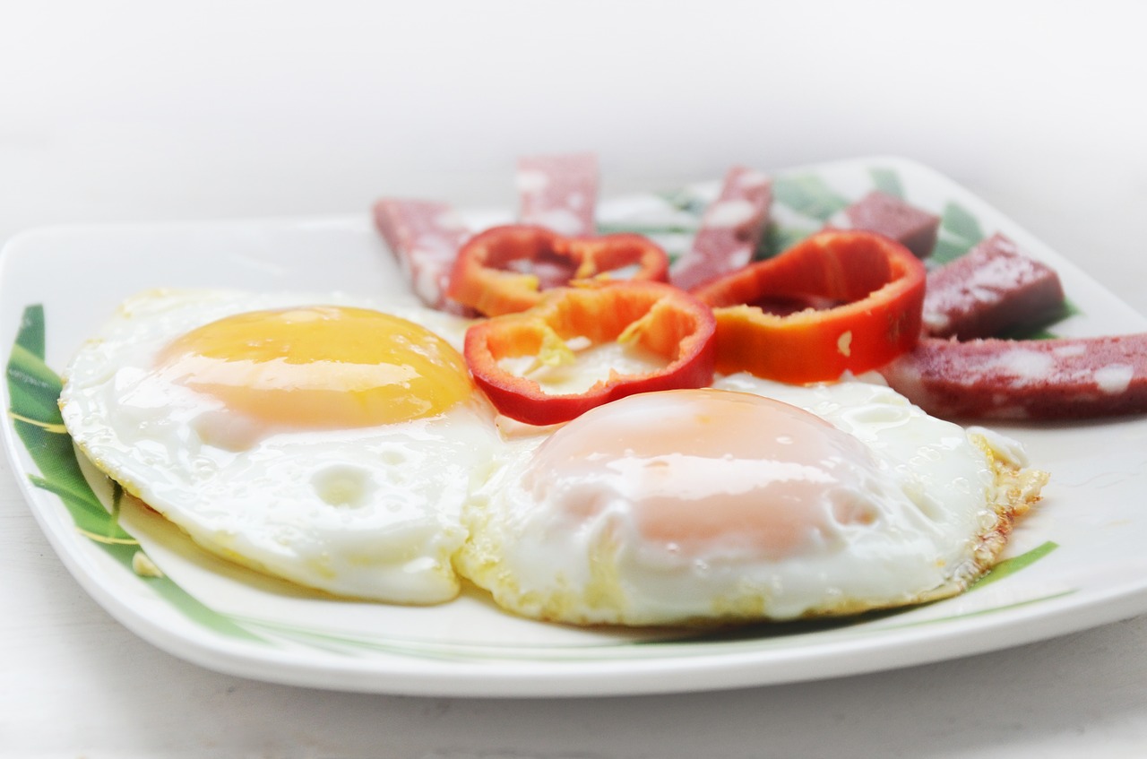 omelette egg breakfast free photo