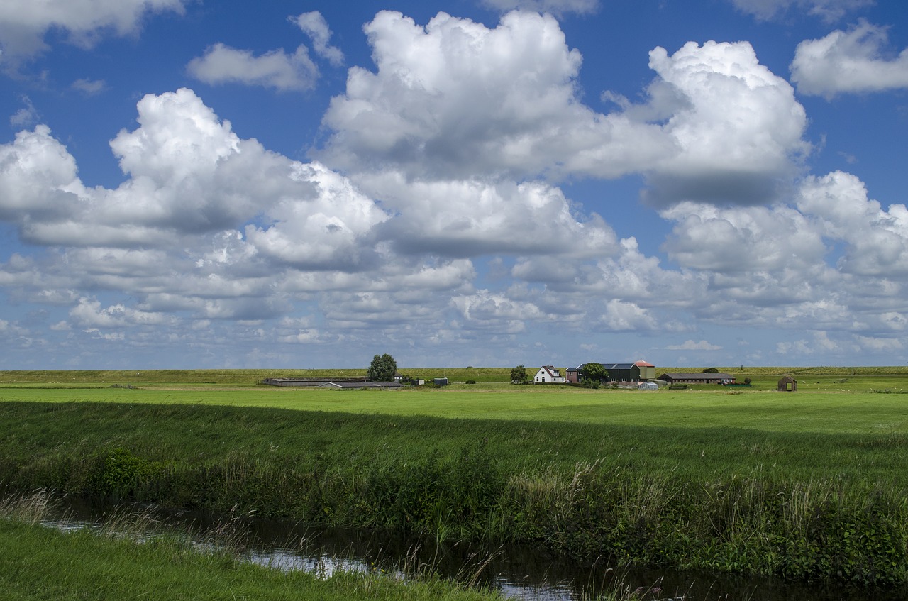 omringdijk west-friesland nderland free photo