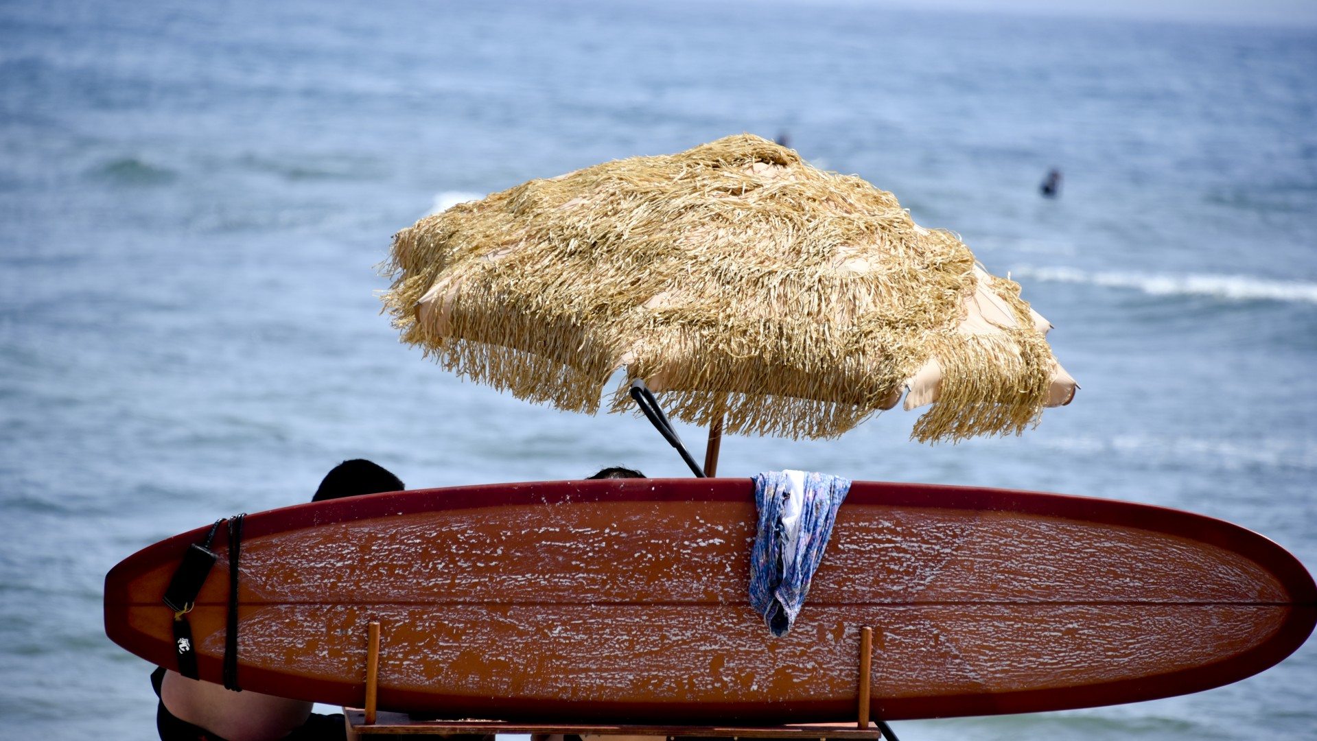 beach scene couple free photo