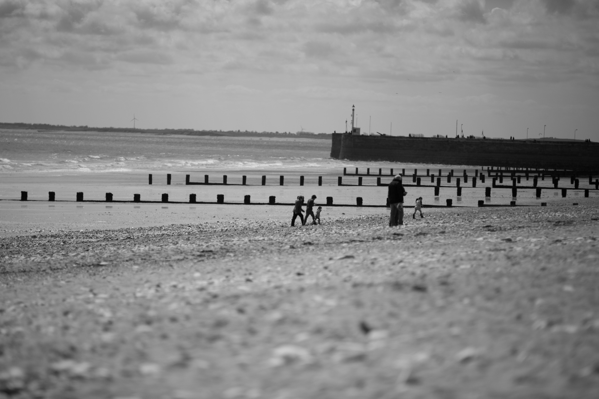 beach stones sea free photo