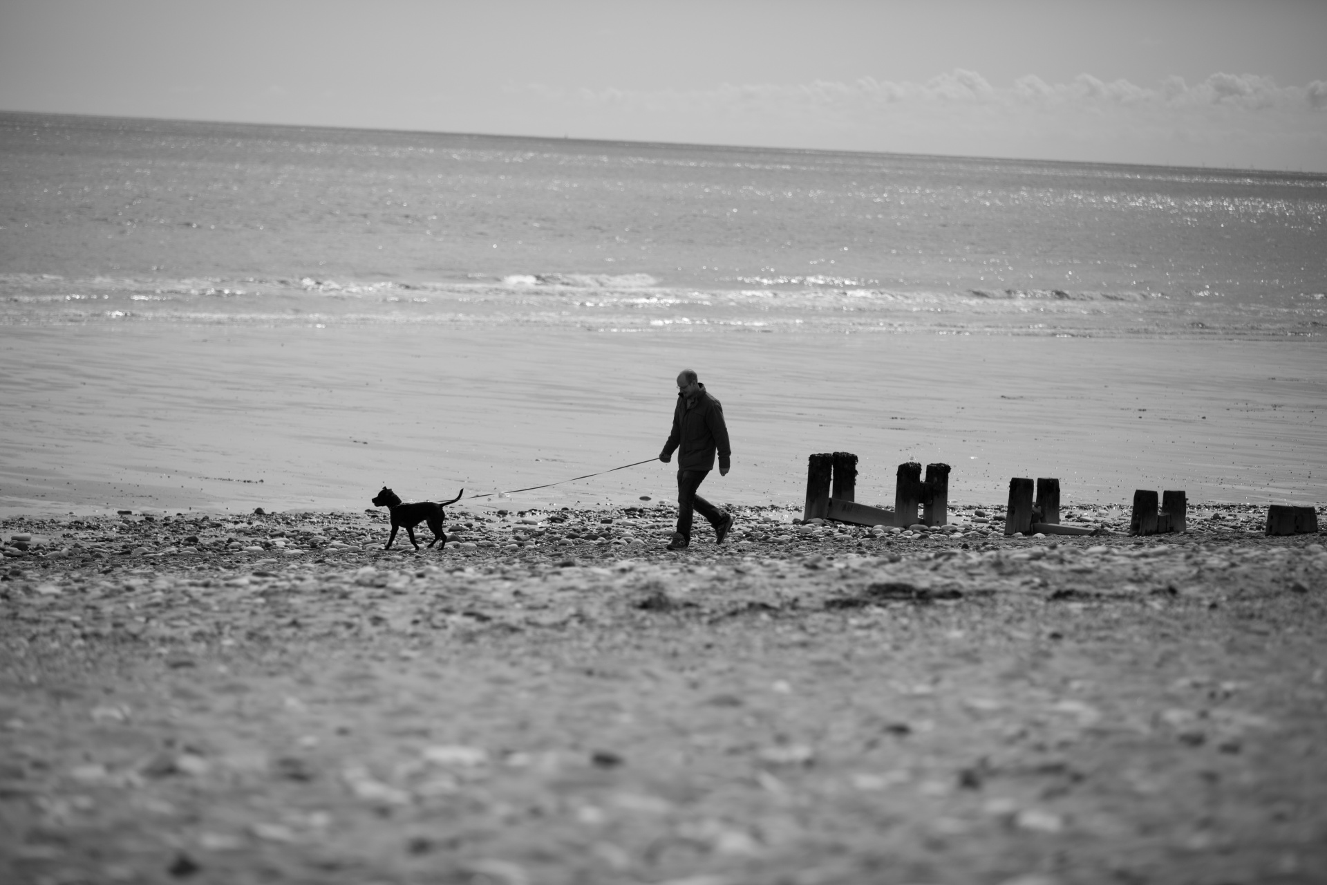 beach stones sea free photo