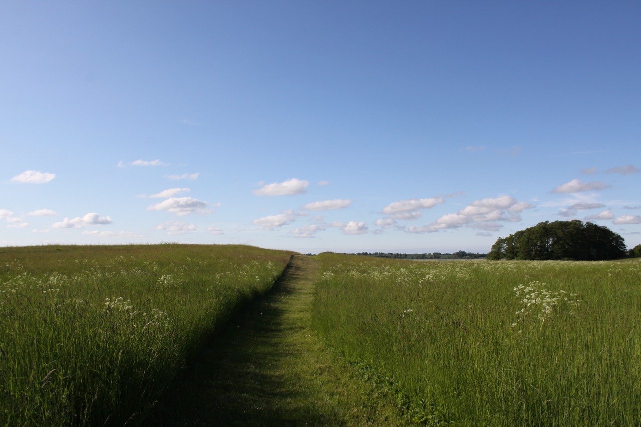 on the country landscape peaceful free photo