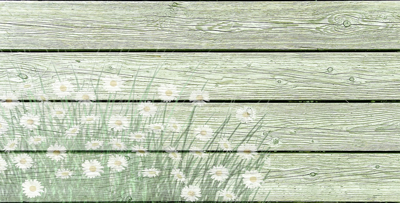 on wood daisies wooden wall free photo