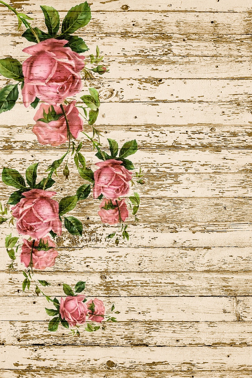 on wood roses pink free photo