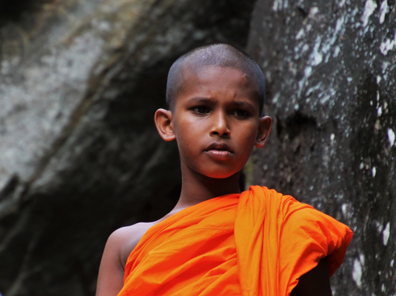 one monk portrait free photo