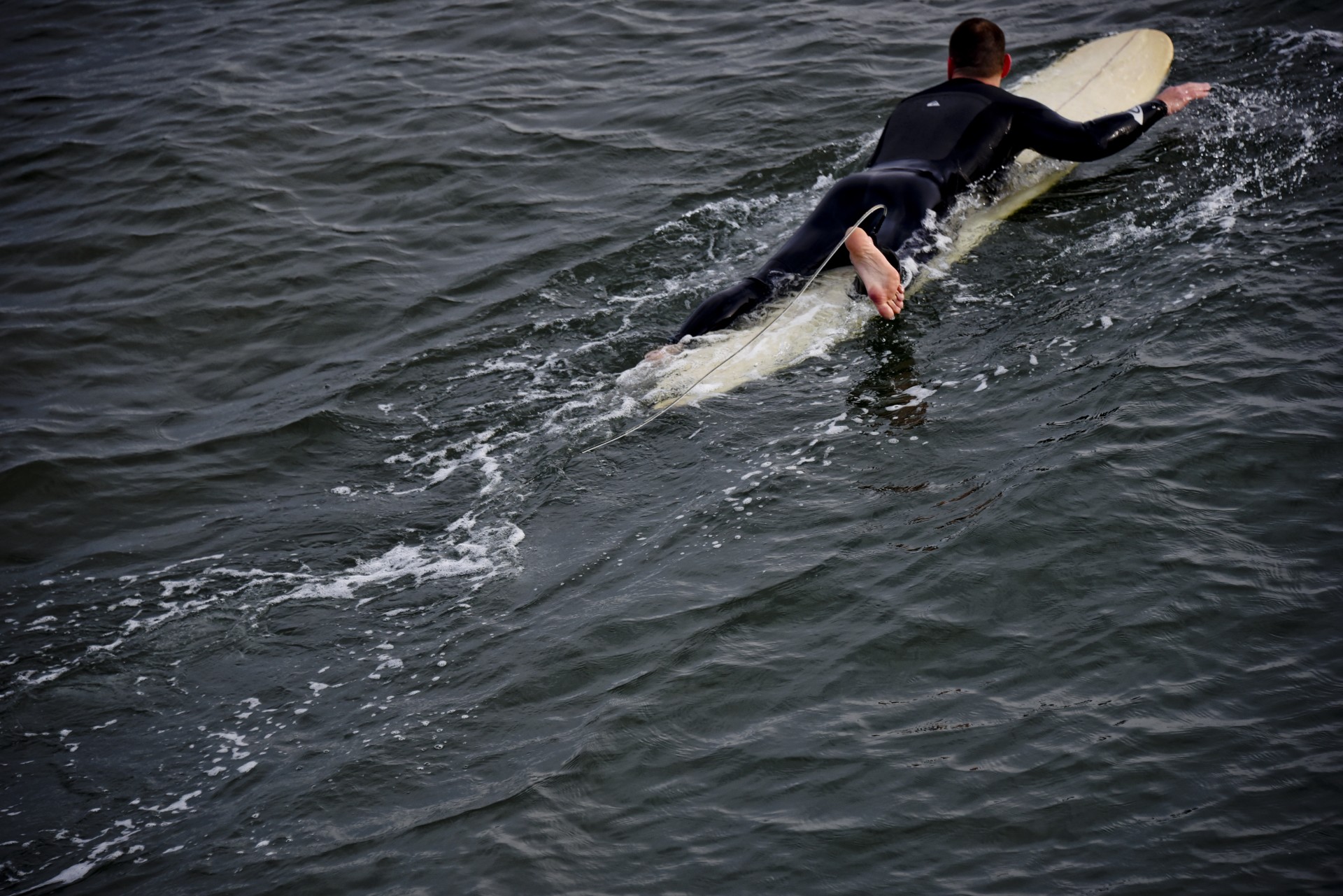 surfer wave next free photo