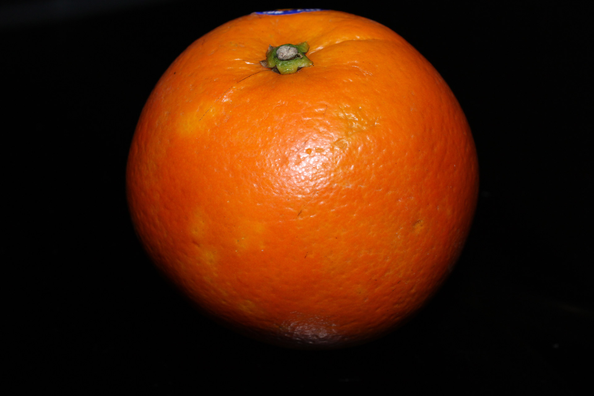 orange one orange fruit free photo