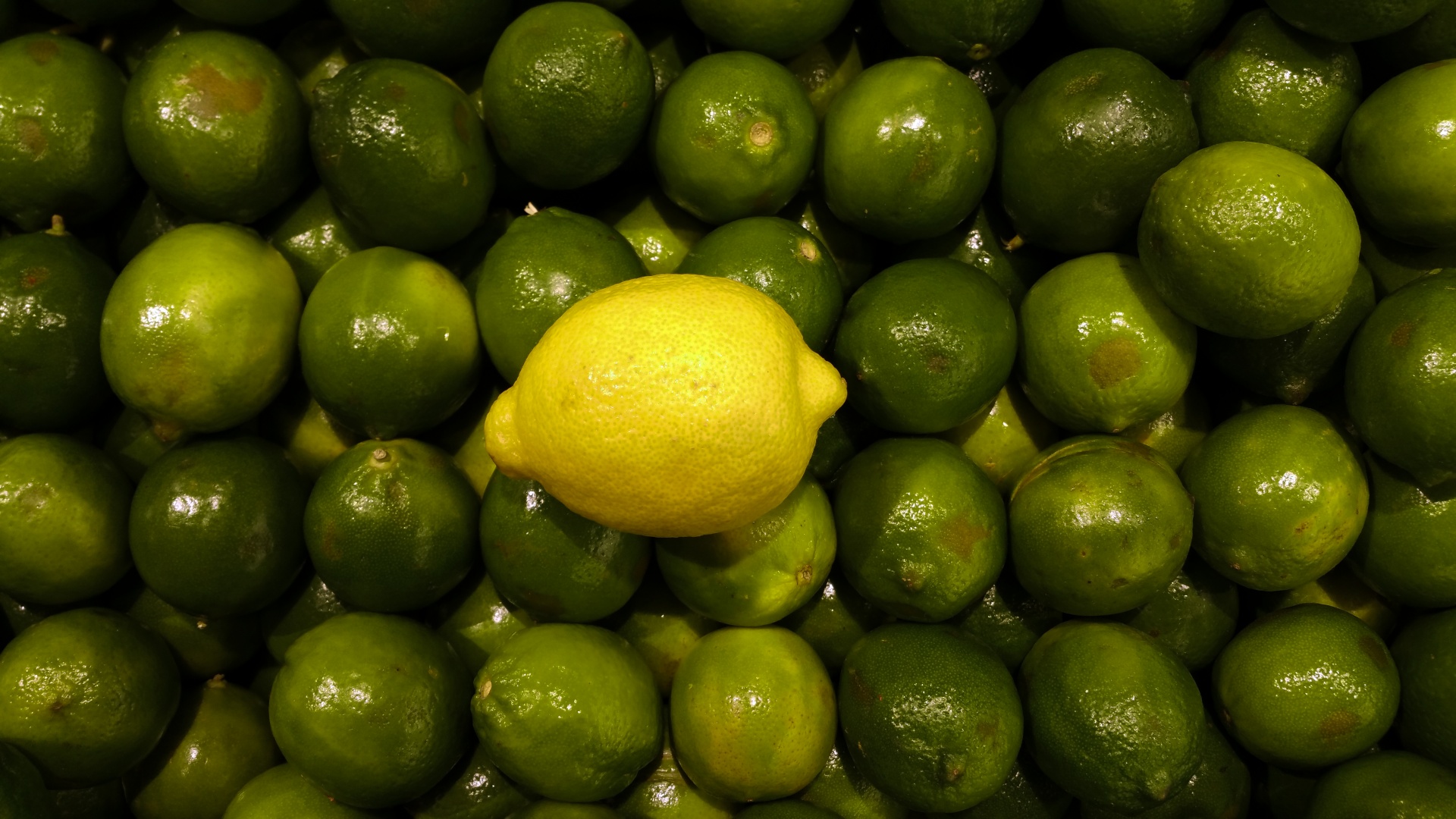 lemon lime different free photo