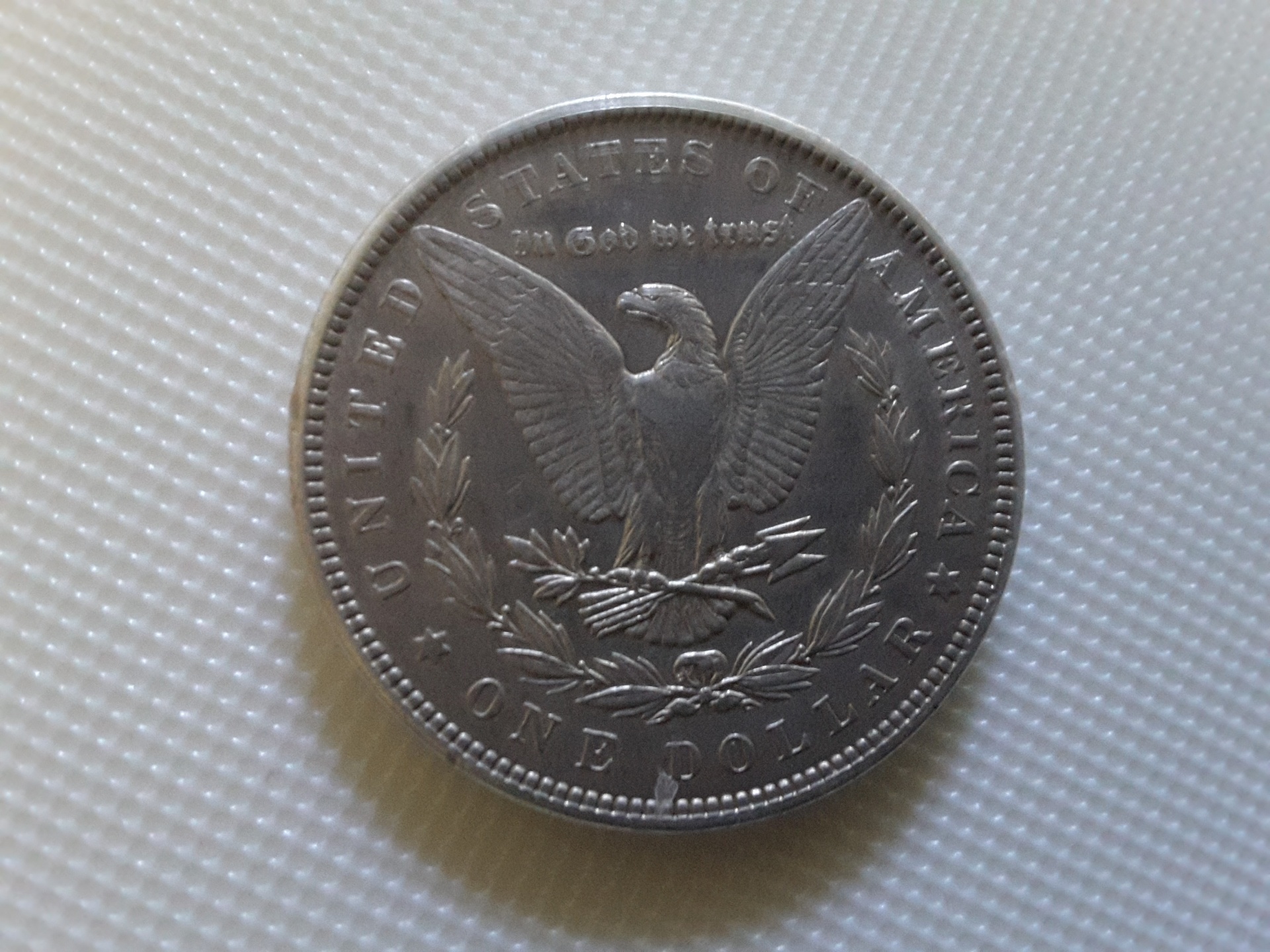 morgan silver dollar free photo