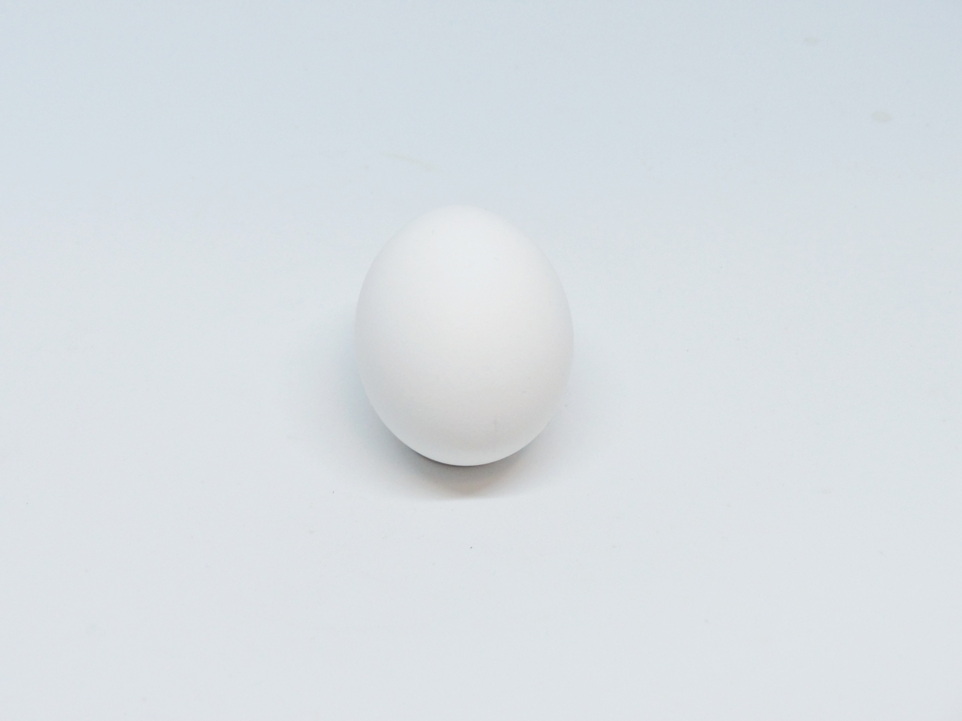 egg white one free photo