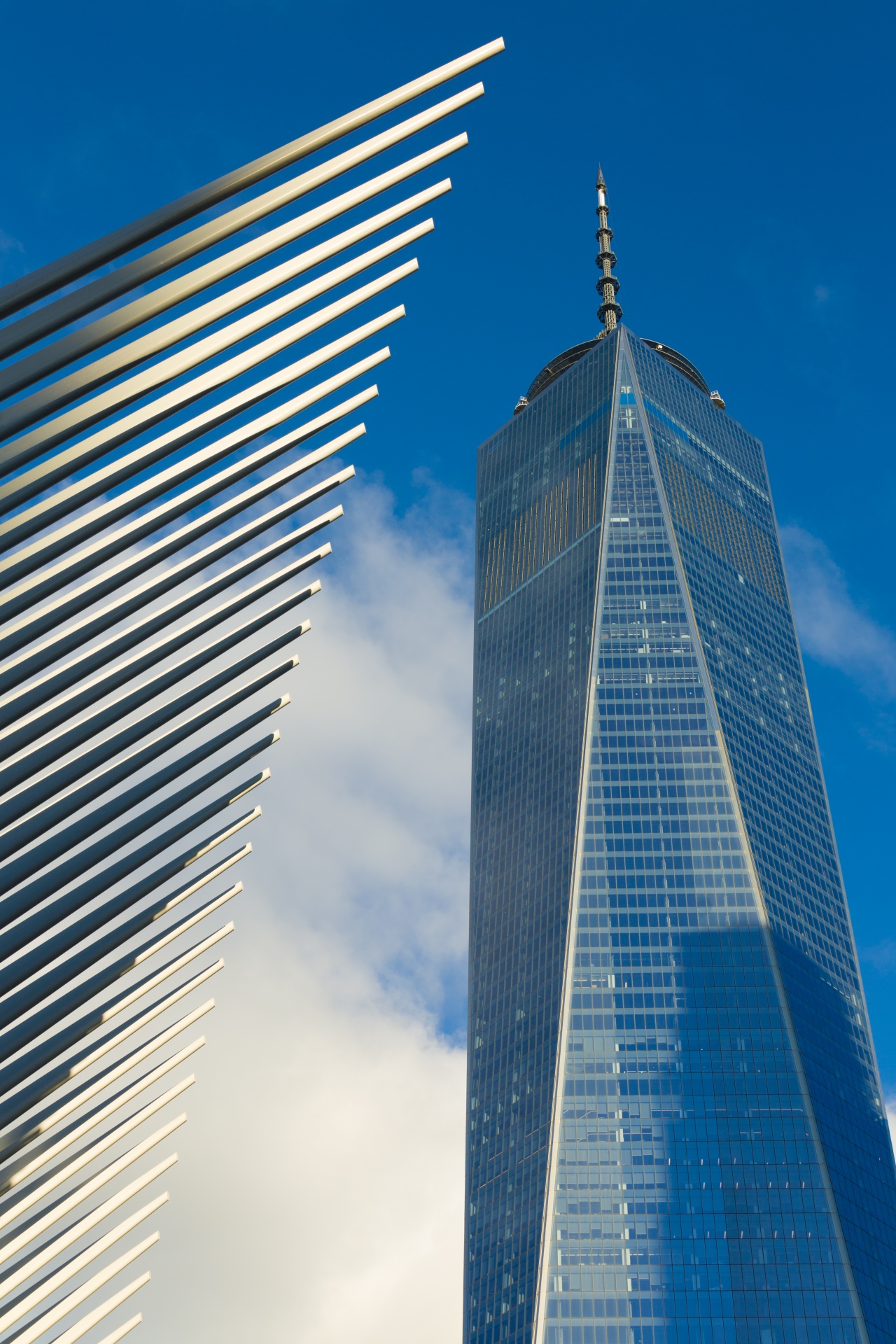 architecture blue building free photo