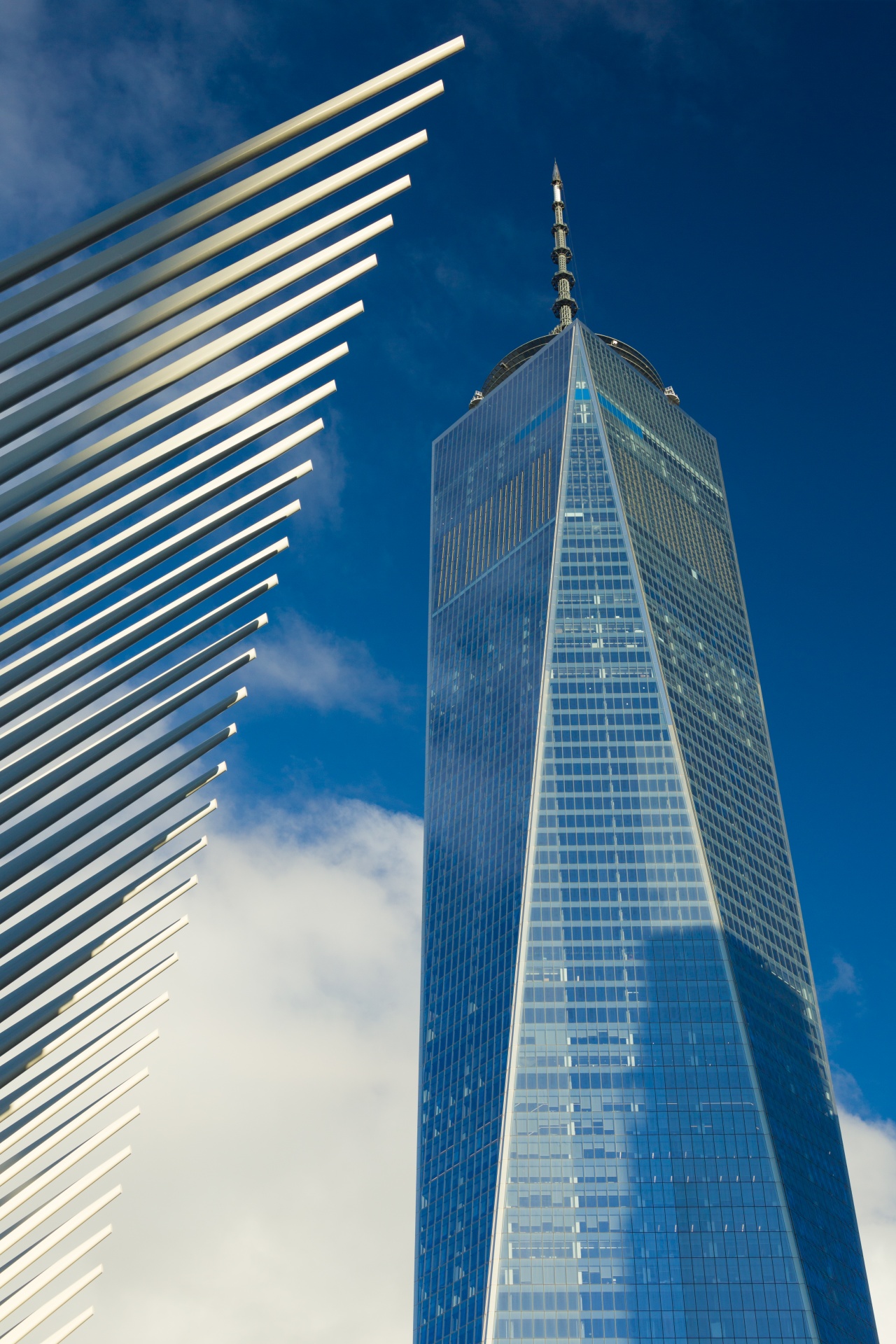 architecture blue building free photo