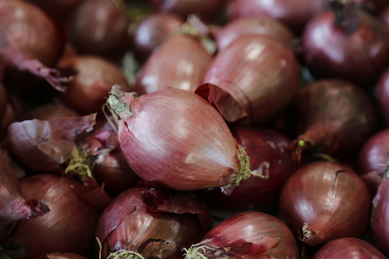 onion vegetables food free photo